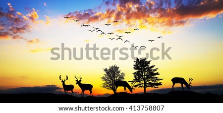 deers in the mountain