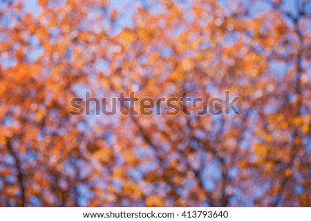 abstract background with beautiful boke