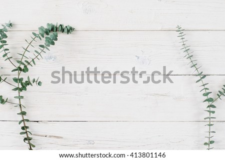Spring plant over wood background. Decorative plant branch top view on white wooden background with free space. Rustic background with flat lay green plant. Royalty-Free Stock Photo #413801146