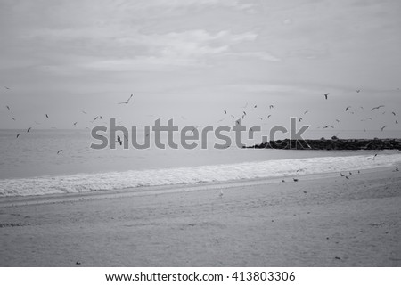 Black and white picture of seascape with seagulls fly over the ocean, sandy beach background
