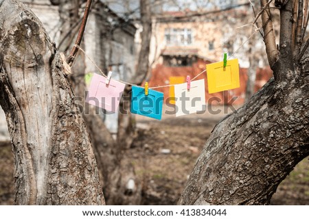Four colored frames are hanging on a rope between the trunks of trees on spring nature