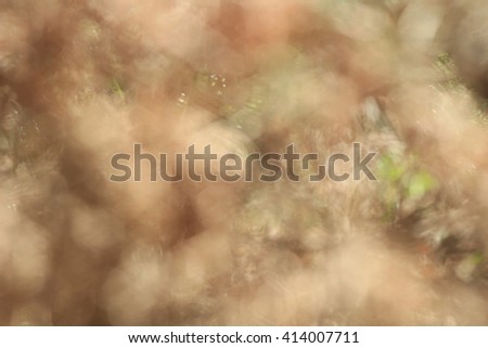 Blurry tree and green and brown background scene, popular