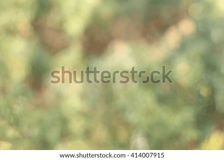 Blurry tree and green and brown background scene, popular bokeh