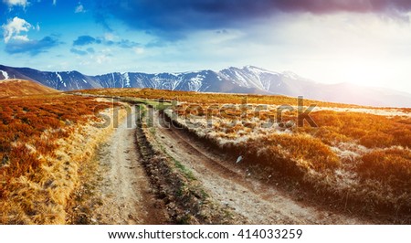 Magical yellow dry grass glowing by sunlight. Dramatic scene and picturesque picture. Location place Carpathian, Ukraine, Europe. Beauty world. Soft filter, vintage style. Instagram toning effect