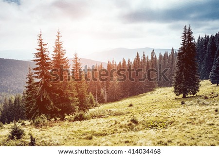 View of the magic valley which glowing by sunlight. Dramatic scene and picturesque picture. Location place Carpathian, Ukraine, Europe. Beauty world. Retro and vintage style. Instagram toning effect