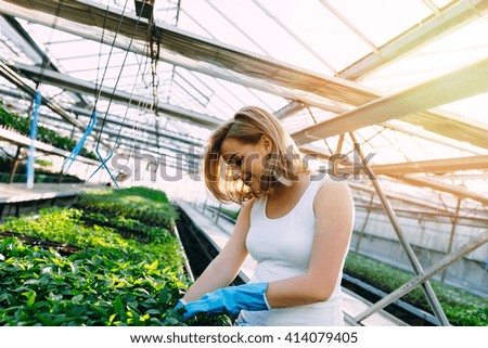 Attractive young woman working in greenhouse and enjoying beautiful flowers