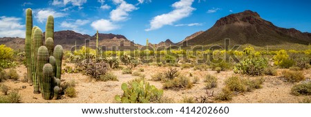 Arizona Desert Landscape  Royalty-Free Stock Photo #414202660