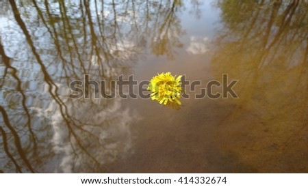 Flower drifting down the river. Free your mind in spring nature. 