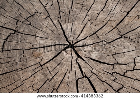 brown wooden board with cracked, wallpaper