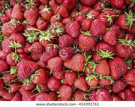 Homemade fresh strawberries for sale in the market.