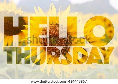 Hello Thursday word on sunflower background
