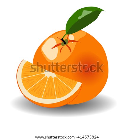 orange and slice on white background vector illustration