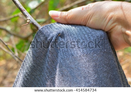  knit fabric was stabbed by thorn

