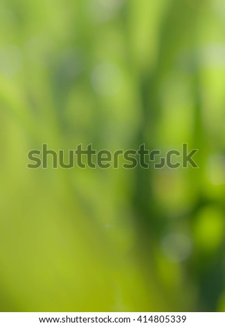 green and light green blur background