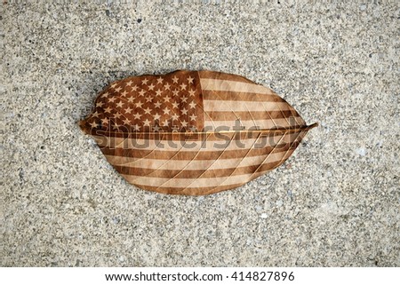 Imprint of United State of America flag on a browning leaf.
