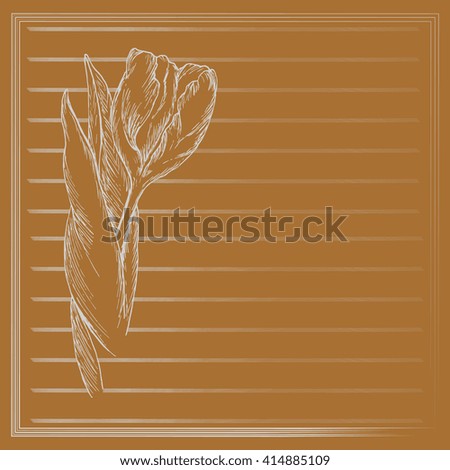 Graphic flower, sketch of tulip on orange background. Vector floral illustration in vintage style. Hand drawn artwork. Template for wedding invitation, card, congratulation, greeting. Place for text. 