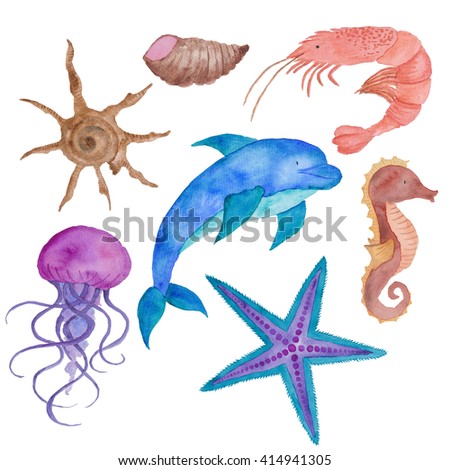 Sea Animals Watercolor Nautical Set Isolated on the white