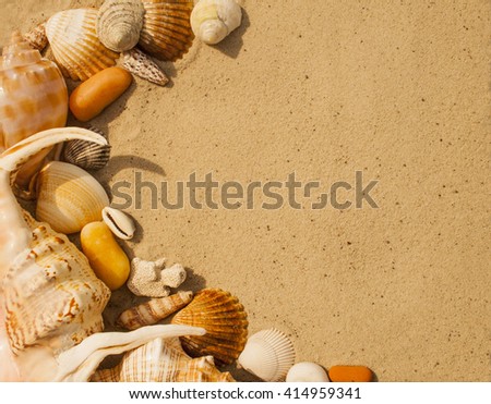 Shells on the beach sand. Summer time background.