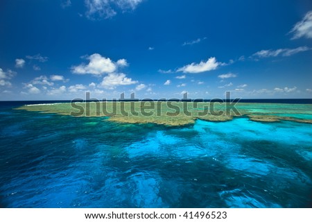 Great Barrier Reef Clam Gardens Royalty-Free Stock Photo #41496523