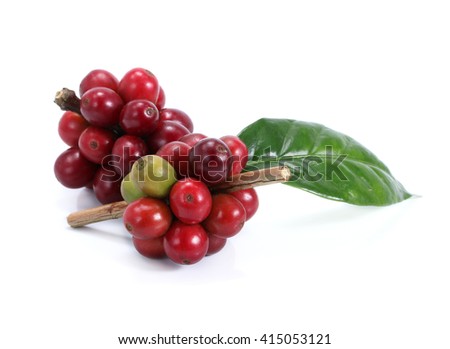 Red coffee beans isolated on white background