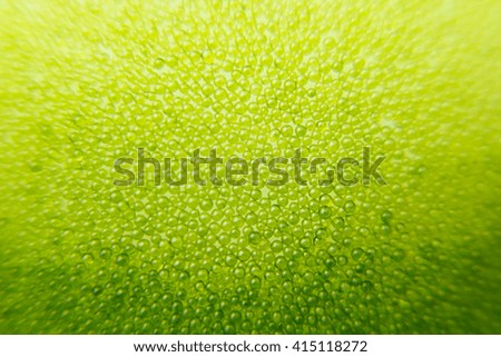Abstract bright green spring background with blur and sparkles. Spring background. Summer background. Texture.