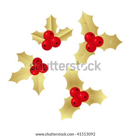 Holly with berries isolated on a white