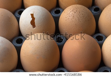 Broken Egg, Chicken Egg