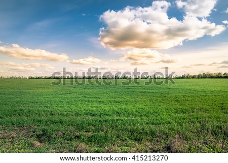 green field and deep blue sky