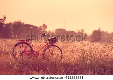Landscape picture Vintage Bicycle with Summer grass field at sunset.old bicycle style for greeting Cards ,post card