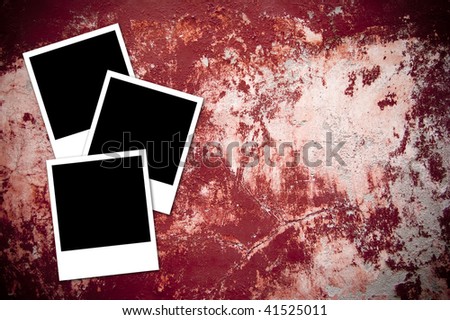 Three  instant photos isolated on a cracked red background