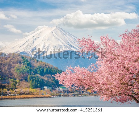 Mountain Fuji in spring at Kawaguchiko, japan. Cherry blossom Sakura.  Royalty-Free Stock Photo #415251361