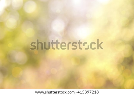  Beautiful autumn background and sunlight bokeh