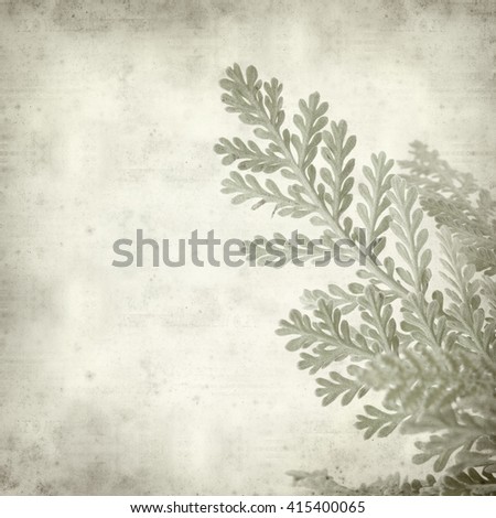 textured old paper background with silver tansy leaves