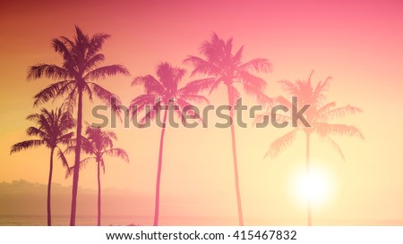 Tropical sunset Royalty-Free Stock Photo #415467832