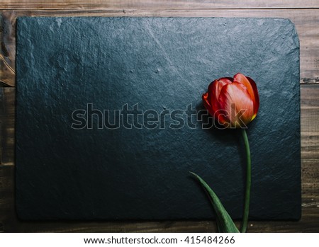 One red tulip on the black stone desk