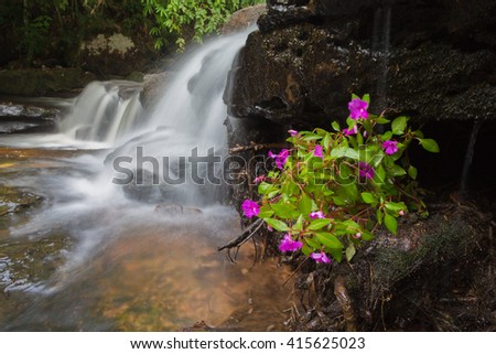 Large waterfall in tropical forests.