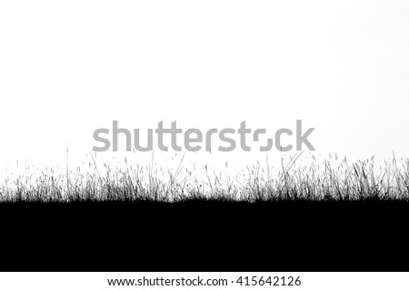 Grass silhouette on a white background