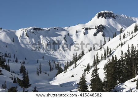 Mt Baker ski area
