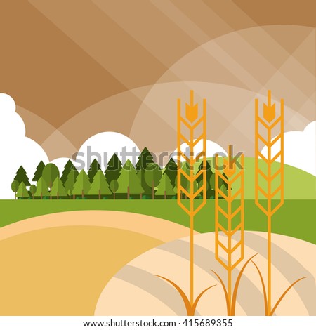 Wheat icon. landscape design. Agriculture concept