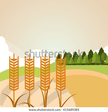 Wheat icon. landscape design. Agriculture concept