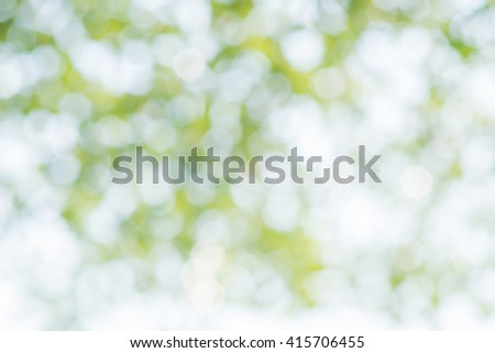 yellow and green light bokeh blurred from tree backgrounds, green and yellow blur background texture