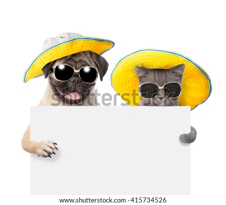 Cat and dog  in sunglasses and hats peeking from behind empty board. isolated on white background