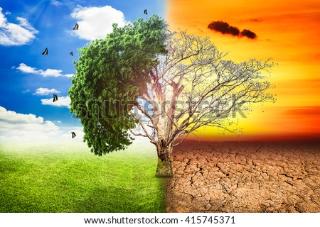 Environmental concepts, Live and dead big tree. Royalty-Free Stock Photo #415745371