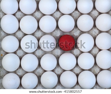 Picture of a difference concept with white eggs