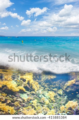 tropical  sea  with colorful  fishes  and reefs
