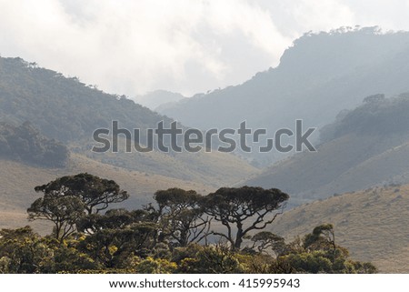 Landscape. Horton Plains National Park, Sri Lanka.