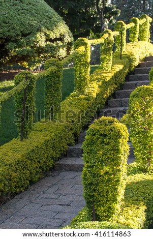 Green path with rock stairway steps and handrail