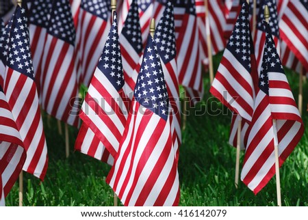 groups of USA flags on the meadow for memorial day