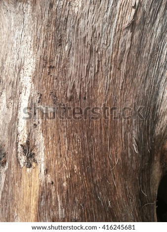 Wooden rough texture