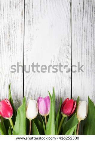 bouquet of fresh spring tulips -  flowers floral border on a wooden background